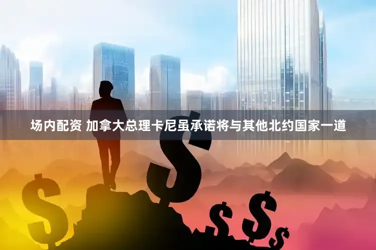 场内配资 　　加拿大总理卡尼虽承诺将与其他北约国家一道