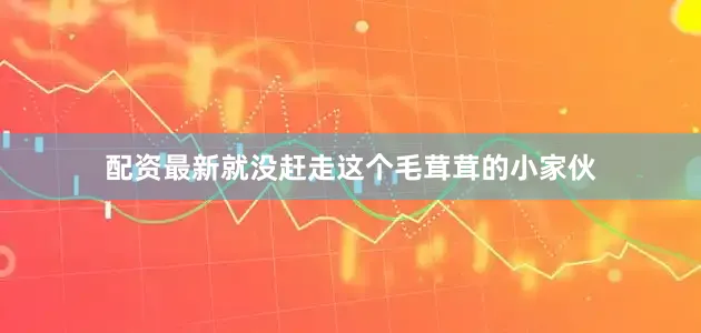 配资最新就没赶走这个毛茸茸的小家伙
